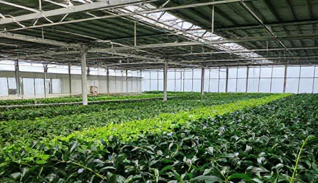 技术支持选型建议:5大检查要点提升性能与适用性